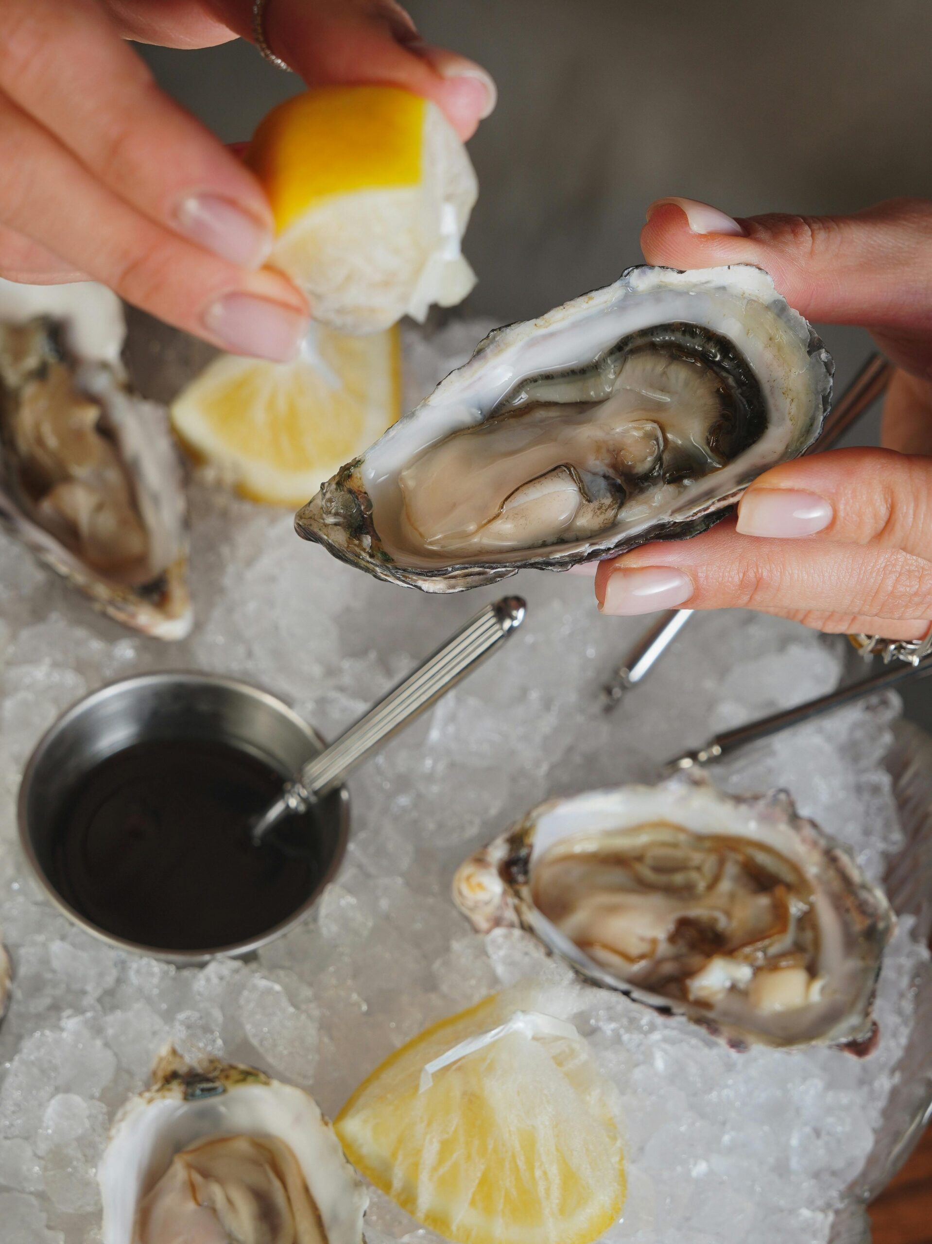gourmet oysters